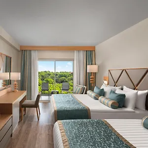 Standard Room Mountain View